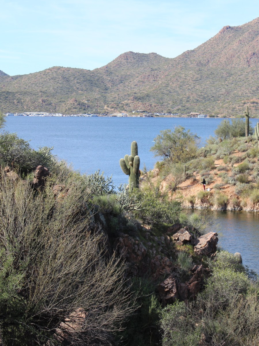 Butcher Jones Trail Guide: What 11,000 Hikers Reveal About Saguaro Lake | Tonto National&nbsp;Forest